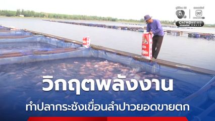 วิกฤตพลังงาน ทำปลากระชังเขื่อนลำปาวยอดขายตก