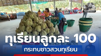 ทุเรียนลูกละ 100 บาท กระทบชาวสวนทุเรียน