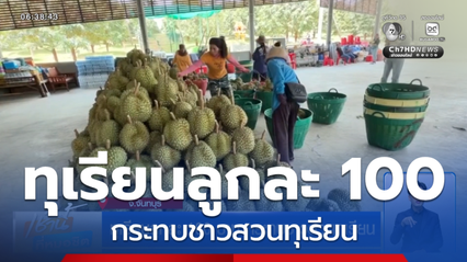 ทุเรียนลูกละ 100 บาท กระทบชาวสวนทุเรียน
