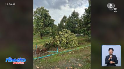 อิทธิพลพายุฤดูร้อน พัดถล่ม