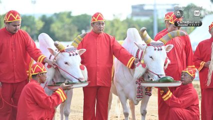 กระทรวงเกษตรฯ ซ้อมใหญ่พิธีพืชมงคลจรดพระนังคัลแรกนาขวัญ
