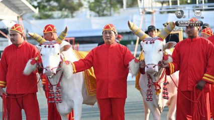 กระทรวงเกษตรฯ ซ้อมใหญ่พิธีพืชมงคลจรดพระนังคัลแรกนาขวัญ