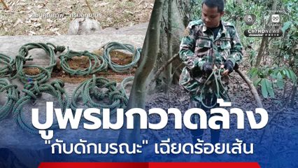 ขสป.อ่างฤาไน ปูพรมกวาดล้าง กับดักมรณะ 2 วันรื้อบ่วงพรานเฉียดร้อยเส้น หลังพบลูกช้างเดินขาติดบ่วง