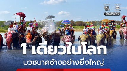 1 เดียวในโลก จัดประเพณีบวชนาคช้างอย่างยิ่งใหญ่