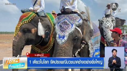 1 เดียวในโลก จัดประเพณีบวชนาคช้างอย่างยิ่งใหญ่ จ.สุรินทร์