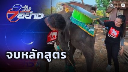 7 วัน 7 อย่าง : จบหลักสูตร