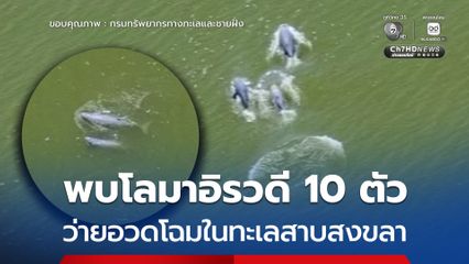 ข่าวดี ! พบ “โลมาอิรวดี” จำนวน 10 ตัว ในทะเลสาบสงขลา