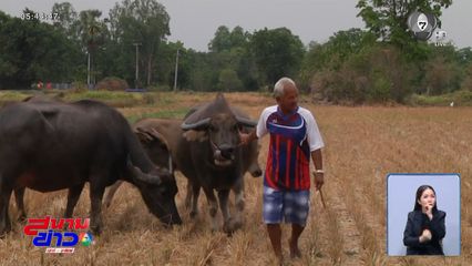 อาชีพสุดฮิตของชาว จ.อุทัยธานี