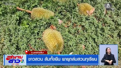 ชาวสวน ล้มทั้งยืน พายุถล่มสวนทุเรียน จ.นครราชสีมา