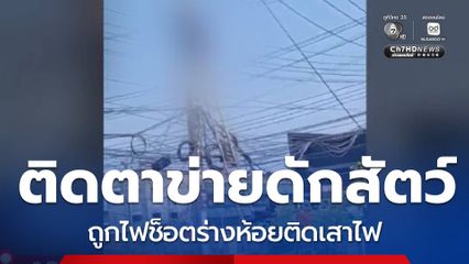 หนุ่มขึ้นไปติดตาข่ายดักสัตว์ ถูกไฟดูด