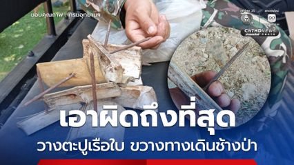 อช.เขาแหลม เร่งทลายกับดักตะปูเรือใบไม้ไผ่-เกลืออาบยาพิษ ขวางทางเดินช้างป่า แจ้งความเอาผิดถึงที่สุด
