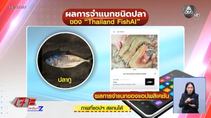 ดรามา Thailand FishAI สแกนปลาผิด