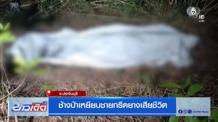 ช้างป่าเหยียบชายกรีดยางเสียชีวิต จ.ปราจีนบุรี