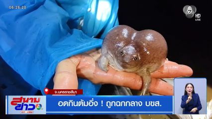 อดกินต้มอึ่ง ! ถูกฉกกลาง บขส.