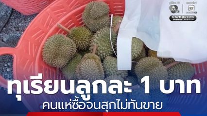 โพรโมชัน ทุเรียนลูกละ 1 บาท สุกไม่ทันขาย