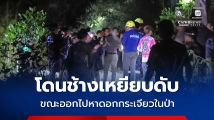 โดนช้างเหยียบดับ ขณะออกไปหาดอกกระเจียวในป่า