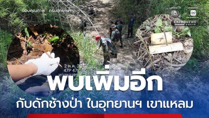 พบเพิ่มอีก กับดักช้างป่า ในอุทยานฯ เขาแหลม