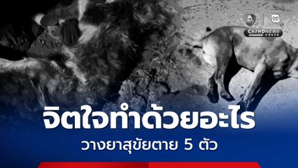 เจ้าของสุดทน โพสต์สุนัขตาย 5 ตัวในคืนเดียว