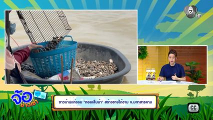 ชาวบ้านแห่งงม หอยเล็บม้า สร้างรายได้งาม