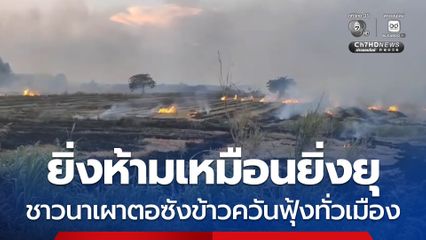 ยิ่งห้ามเหมือนยิ่งยุ ชาวนาเผาตอซังข้าวควันฟุ้งทั่วเมือง