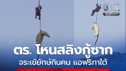 ตร.โหนสลิงกู้ซากจระเข้ยักษ์กินคน ในแอฟริกาใต้