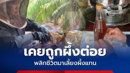หญิงอายุ 65 ปี เคยถูกผึ้งต่อยหลายครั้งจนผูกใจเจ็บ ก่อนพลิกชีวิตเริ่มต้นอาชีพเสริม เลี้ยงผึ้งโพรง ขายน้ำผึ้ง