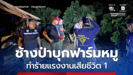 จนท.ขสป.เขาสอยดาว สนธิกำลังเข้าจุดเกิดเหตุ​ หลังช้างป่าบุกฟาร์มหมู จ.จันทบุรี ทำร้ายแรงงานเมียนมาเสียชีวิต
