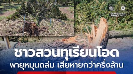 ชาวสวนทุเรียนโอด พายุหมุนถล่ม เสียหายกว่าครึ่งล้าน