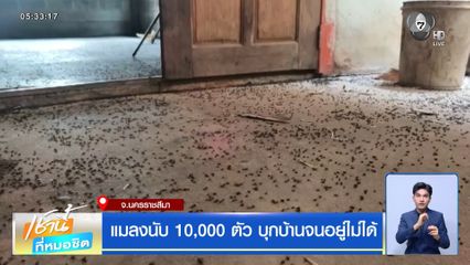 แมลงนับ 10,000 ตัว บุกบ้านจนอยู่ไม่ได้