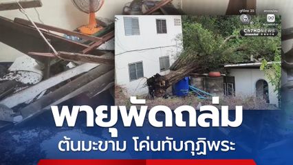 พายุฝนฟ้าคะนองถล่ม อ.ศรีราชา ลมกระโชกแรงทำให้ต้นมะขามอายุกว่า 60 ปี โคนล้มทับกุฏิพระ