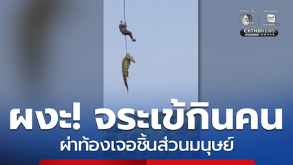 สังหาร จระเข้กินคน ที่แอฟริกาใต้