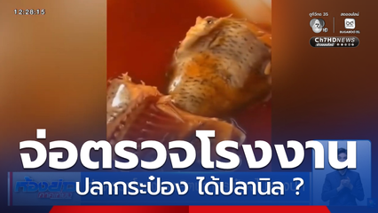 จ่อตรวจโรงงานผลิตปลากระป๋องไม่ตรงปก