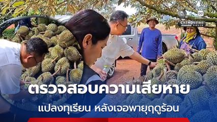 เกษตรโคราช ลงพื้นที่ตรวจดูความเสียหายแปลงทุเรียน หลังเจอพายุฤดูร้อน ทำผลผลิตเสียหายมากกว่า 10 ตัน