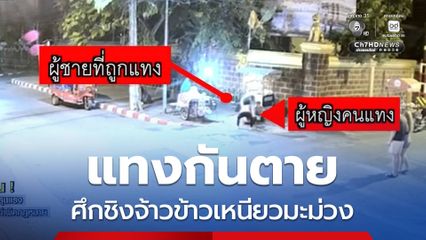 แทงกันตาย ศึกชิงจ้าวข้าวเหนียวมะม่วง