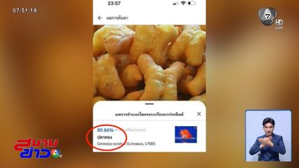 ปมร้อนแอปฯ Thailand Fish AI