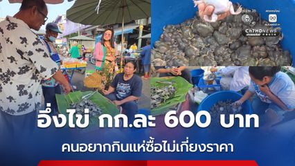 อึ่งไข่ กก.ละ 600 บาท คนอยากกินแห่ซื้อไม่เกี่ยงราคา