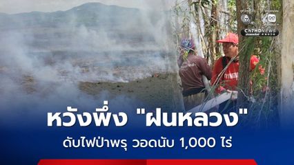 หวังพึ่งฝนหลวง ดับไฟป่าพรุต้นกระจูดเกาะสะบ้า วอดนับ 1,000 ไร่
