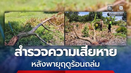 เกษตรโคราชอ่วม พายุฤดูร้อนถล่ม พัดทุเรียนร่วงกว่า 600 ลูก และต้นขนุนโค่น 50 ต้น