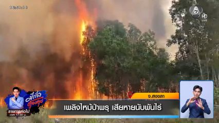 เพลิงไหม้ป่าพรุ เสียหายนับพันไร่