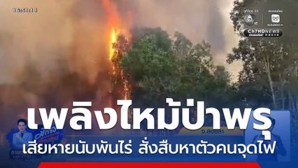 เพลิงไหม้ป่าพรุ เสียหายนับพันไร่