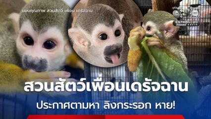 สวนสัตว์ เพื่อน เดรัจฉาน ประกาศตามหา ลิงกระรอก หาย! คาดเชื่อมโยง 2 คนร้ายหนุ่มสาวขโมยสัตว์ที่สวนสัตว์พาต้า