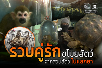รวบคู่รักตระเวนขโมยสัตว์แปลกจากสวนสัตว์ 2 แห่งในพื้นที่ กทม.