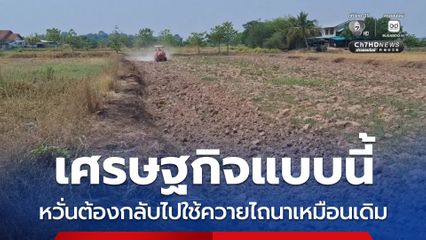 เศรษฐกิจแบบนี้ หวั่นต้องกลับไปใช้ควายไถนาเหมือนเดิม