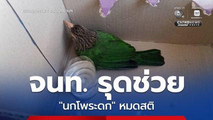 จนท.วนอุทยานเขาตาม่องล่าย รุดช่วย "นกโพระดก" หมดสติ หลังพลเมืองดีแจ้งผ่านสายด่วนพิทักษ์ป่า