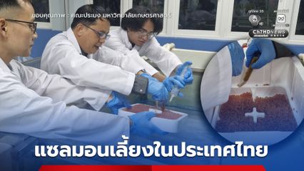 โอกาสใหม่ของอุตสาหกรรมสัตว์น้ำมูลค่าสูง แซลมอนเลี้ยงในไทย กำลังกลายเป็นความจริง