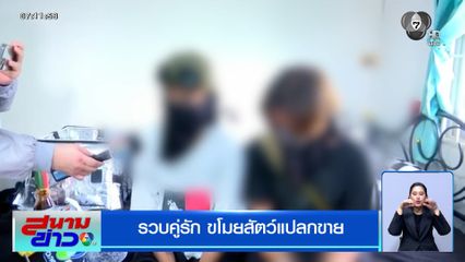 ปิดเกมไว ! รวบคู่รัก ขโมยสัตว์แปลกขาย