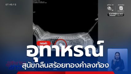 อุทาหรณ์ สุนัขกลืนทองลงท้อง