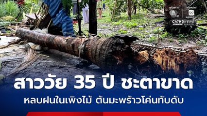 ภัยพายุฤดูร้อน สาววัย 35 ปี ชะตาขาด หลบฝนในเพิงไม้ ต้นมะพร้าวโค่นทับดับ