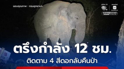 ชุดผลักดันช้างป่า "ห้วยทับทัน-ห้วยสำราญ" ตรึงกำลัง 12 ชม. ติดตาม 4 สีดอกลับคืนป่า ปกป้องทรัพย์สินและความปลอดภัยชาวบ้าน