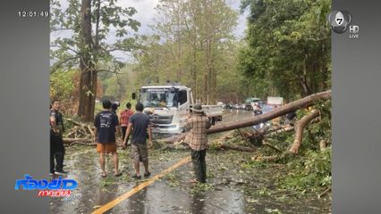 พายุฤดูร้อนพัดถล่ม ฝนตกหนักหลายพื้นที่